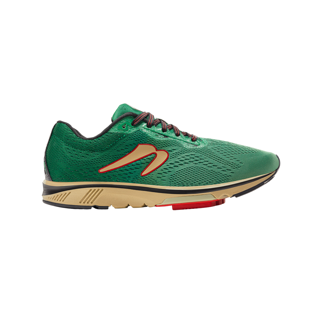 Men's Newton Running Gravity 12, Forest/Khaki, 11 D Medium — RELAY